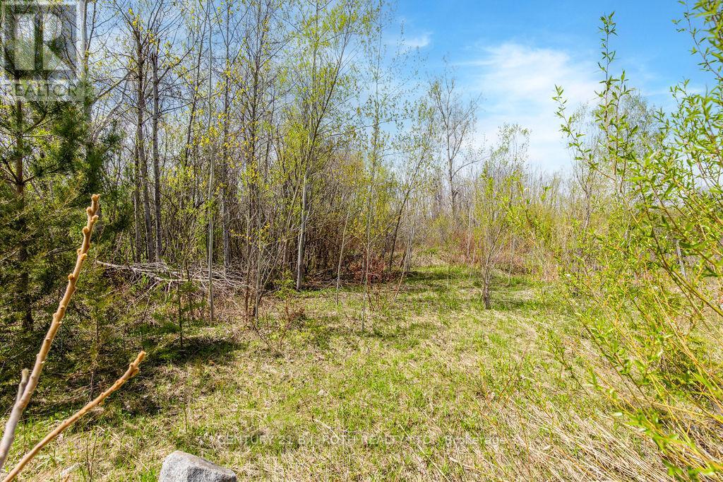 15 Quarry Road, Tay (Waubaushene), Ontario L0K 2C0 - Photo 27 - S13725090