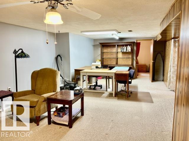 4805 53ave, Willingdon, Alberta  T0B 4R0 - Photo 24 - E4506157