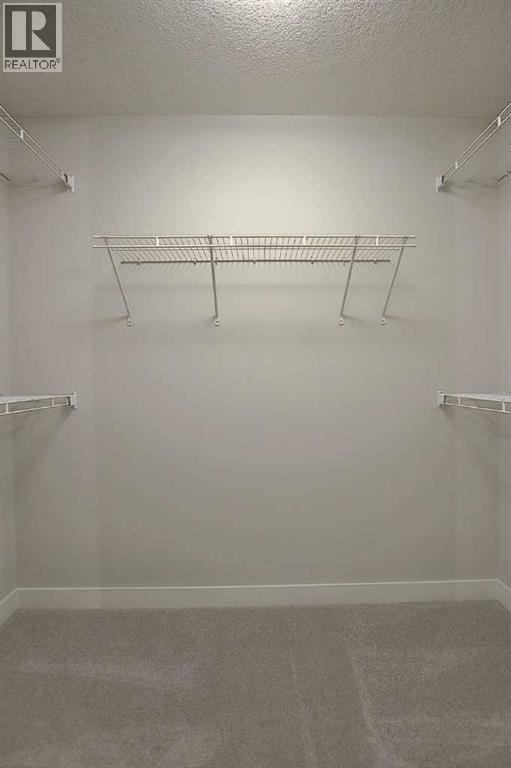 picture 41