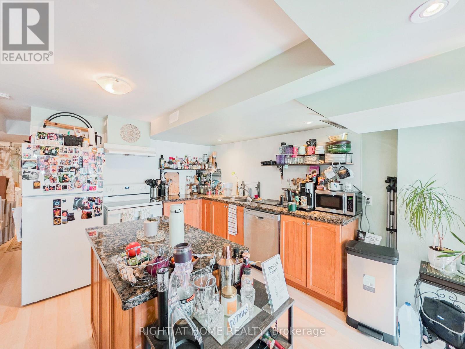 Lower - 163 Williamson Drive E, Ajax, Ontario L1Z 0G7 - Photo 5 - E13713876