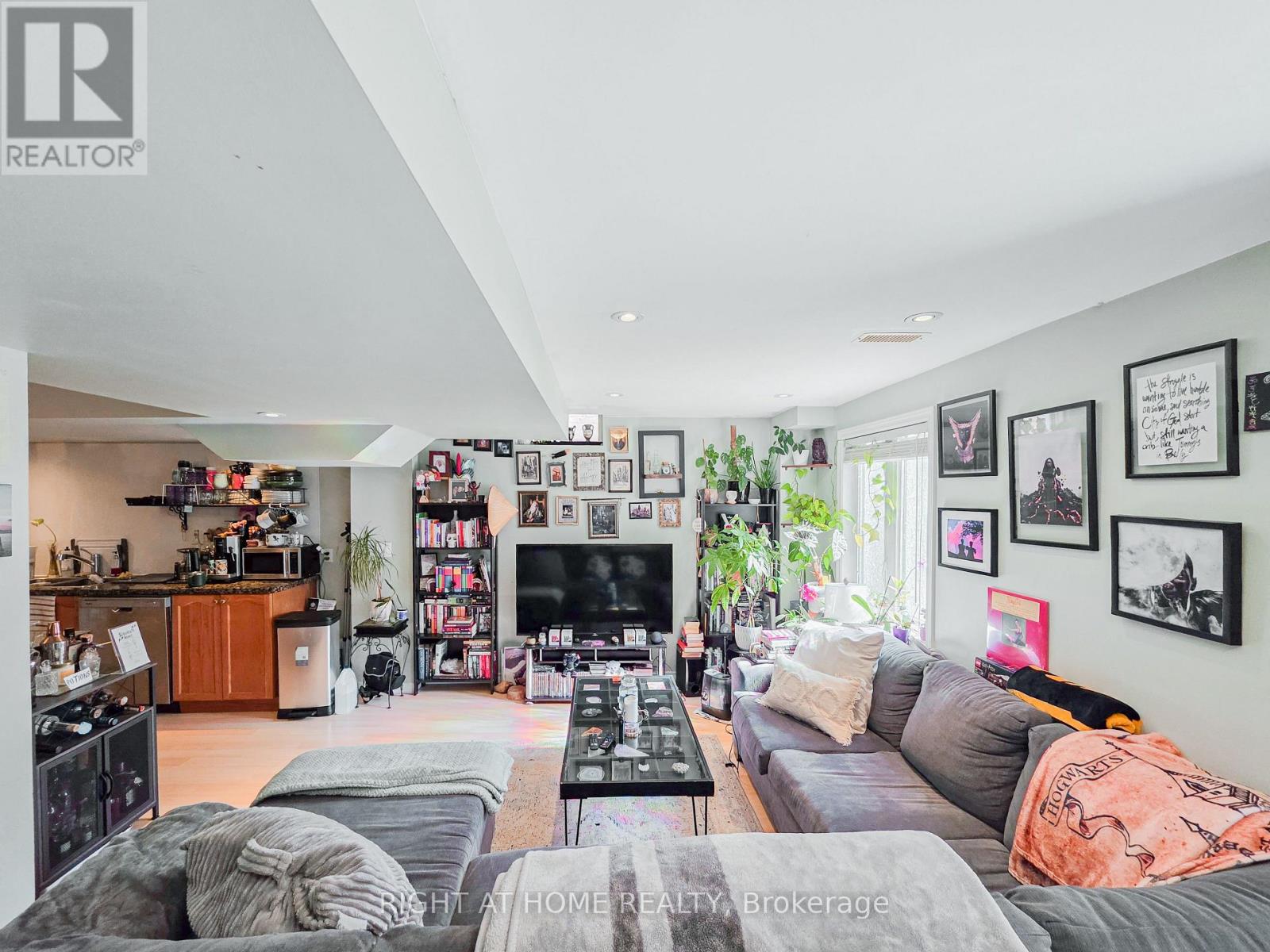Lower - 163 Williamson Drive E, Ajax, Ontario L1Z 0G7 - Photo 6 - E13713876