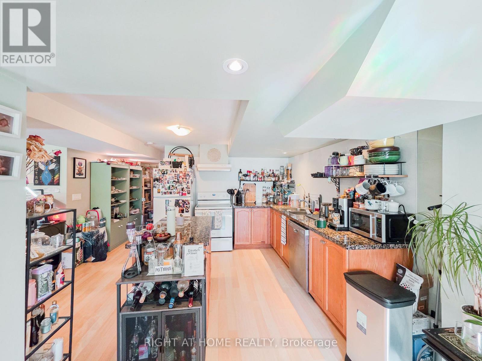 Lower - 163 Williamson Drive E, Ajax, Ontario L1Z 0G7 - Photo 8 - E13713876