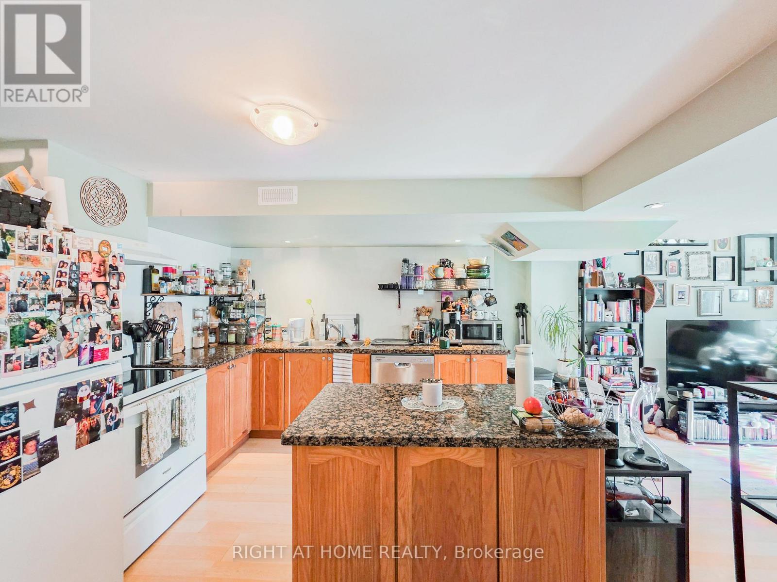 Lower - 163 Williamson Drive E, Ajax, Ontario L1Z 0G7 - Photo 9 - E13713876