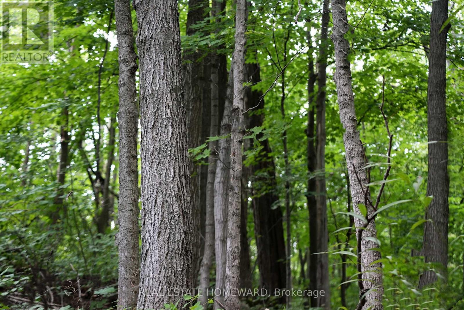 937082 Airport Road W, Mulmur, Ontario  L9V 0L6 - Photo 39 - X13607006