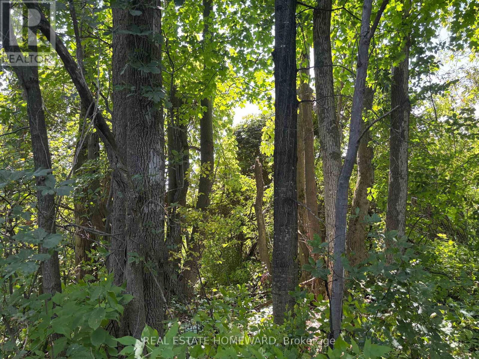 937082 Airport Road W, Mulmur, Ontario  L9V 0L6 - Photo 36 - X13607006