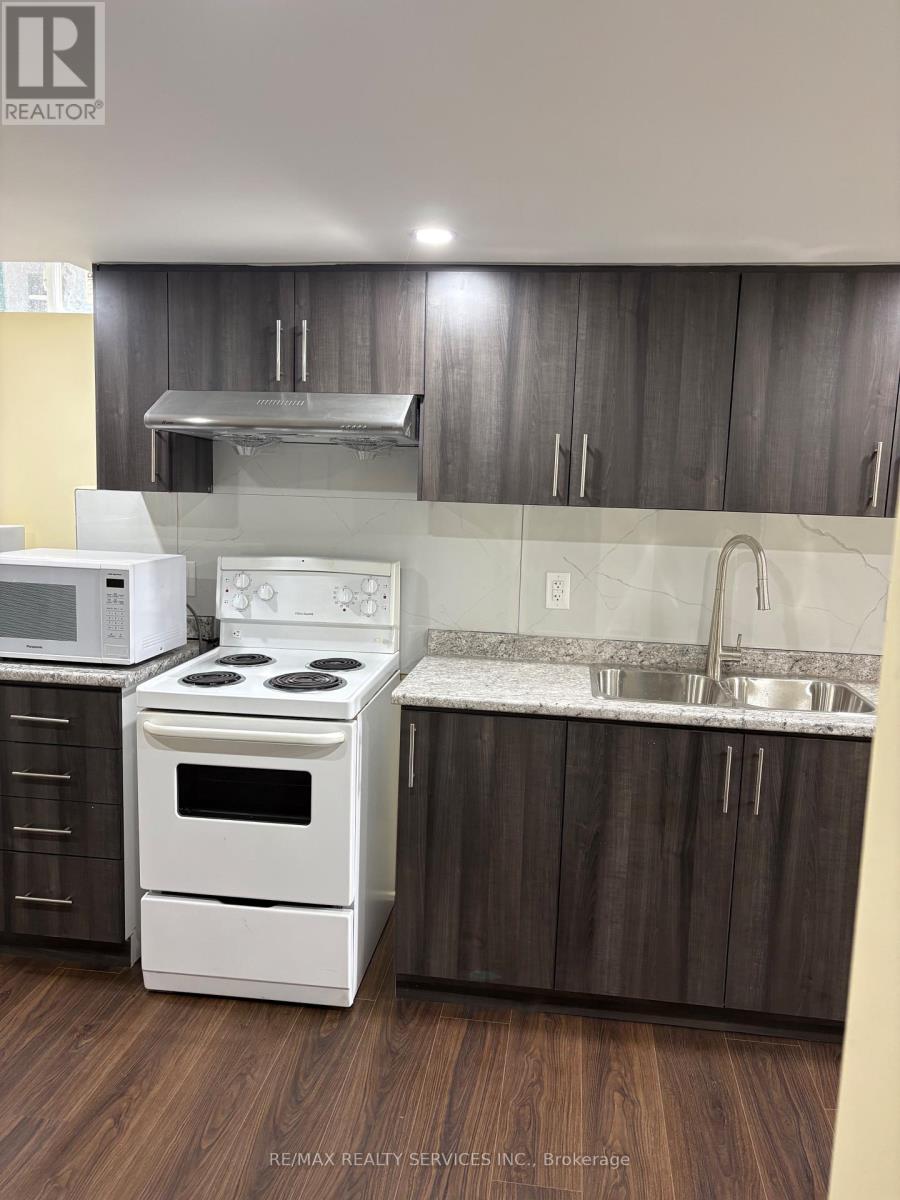 Basement - 60 Newbridge Crescent, Brampton (Westgate), Ontario  L6S 4B3 - Photo 17 - W13719094