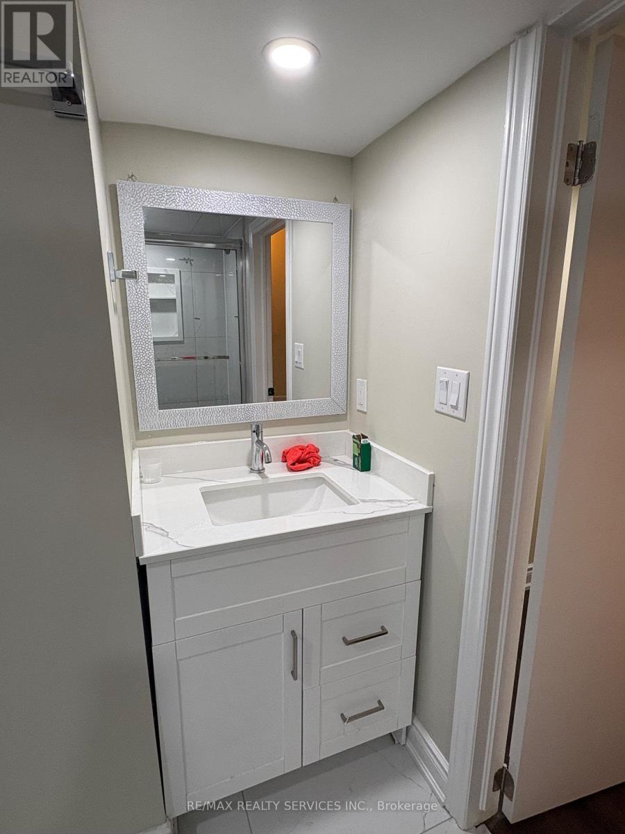 Basement - 60 Newbridge Crescent, Brampton (Westgate), Ontario  L6S 4B3 - Photo 4 - W13719094