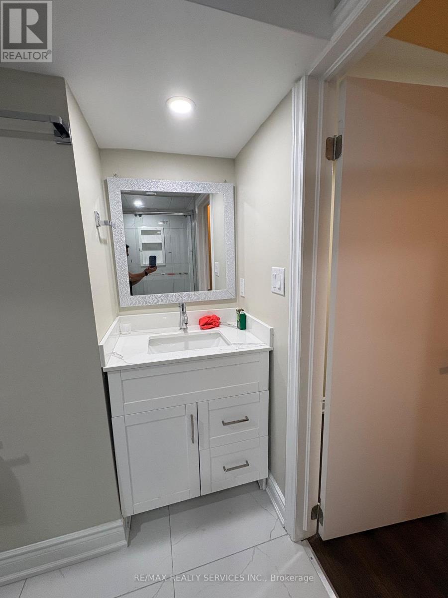 Basement - 60 Newbridge Crescent, Brampton (Westgate), Ontario  L6S 4B3 - Photo 5 - W13719094