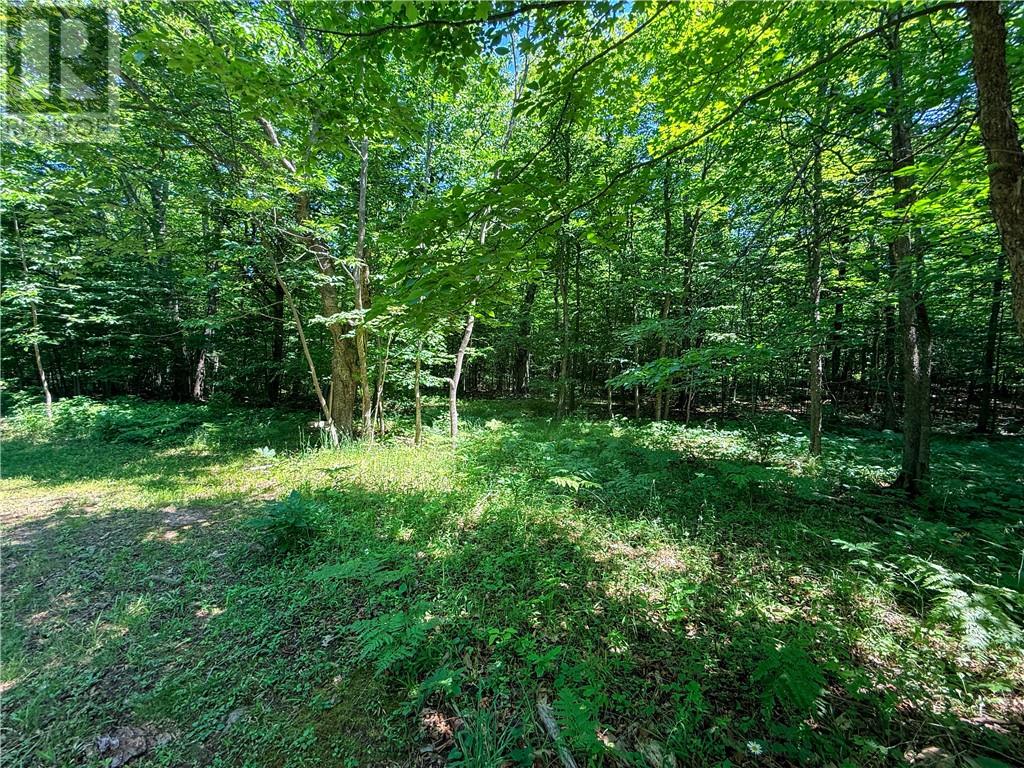 N/a Mcarthur Trail, Gore Bay, Ontario  P0P 1J0 - Photo 11 - 2129065