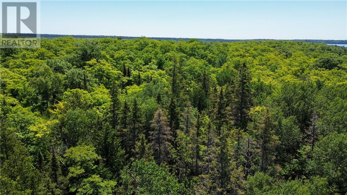 N/a Mcarthur Trail, Gore Bay, Ontario  P0P 1J0 - Photo 7 - 2129065