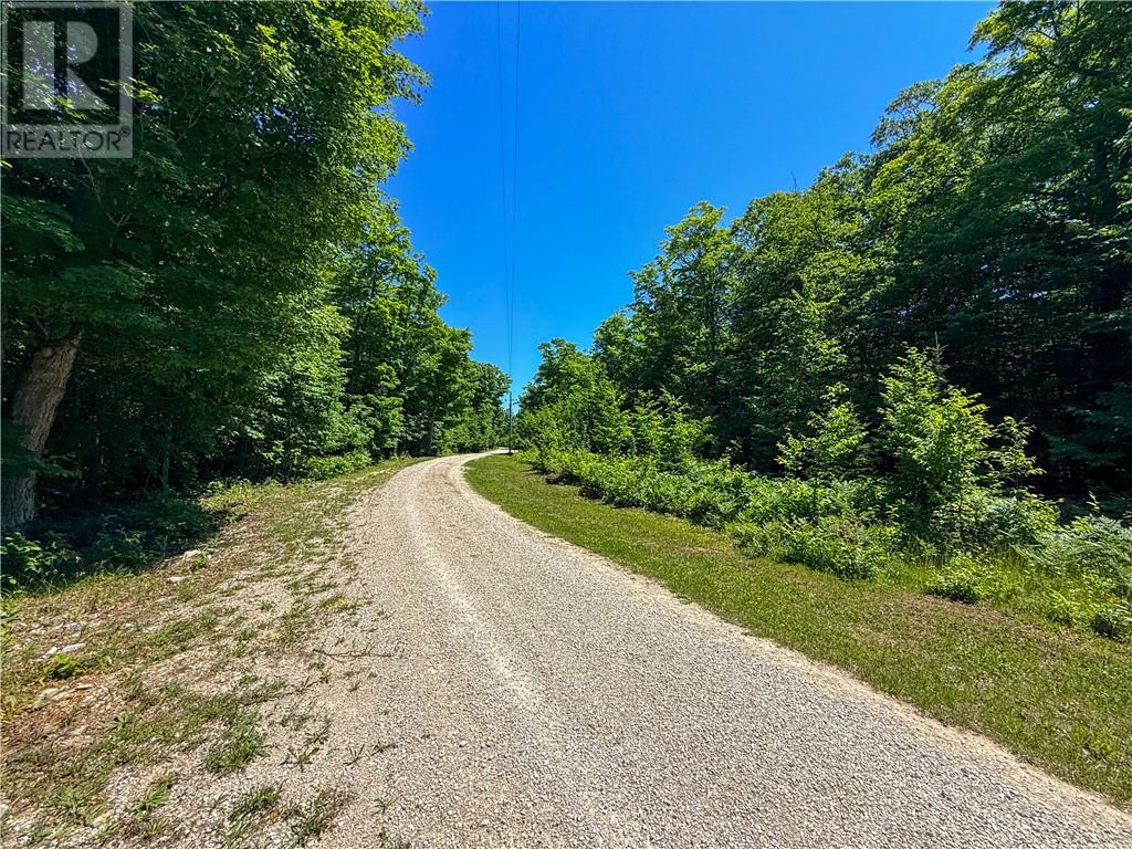 N/a Mcarthur Trail, Gore Bay, Ontario  P0P 1J0 - Photo 12 - 2129065