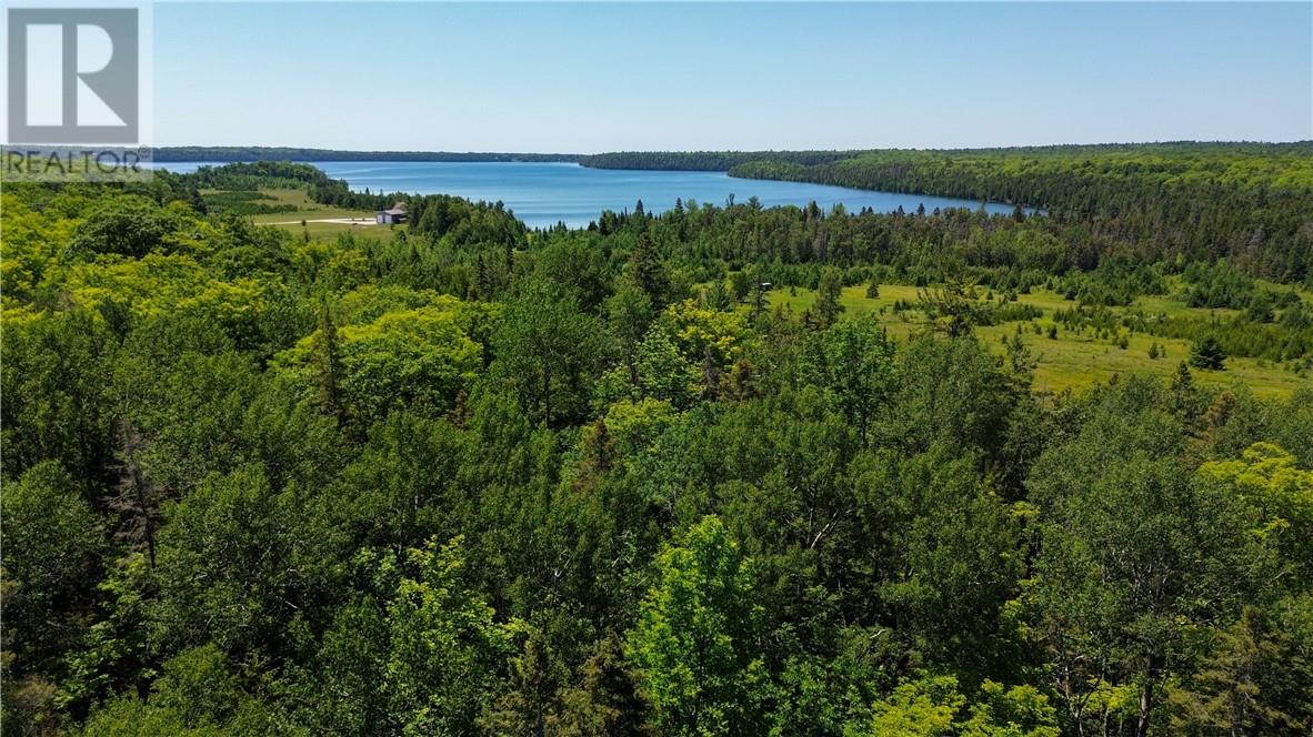 N/a Mcarthur Trail, Gore Bay, Ontario  P0P 1J0 - Photo 6 - 2129065