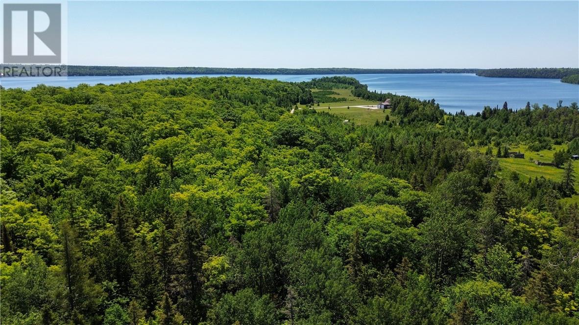 N/a Mcarthur Trail, Gore Bay, Ontario  P0P 1J0 - Photo 3 - 2129065