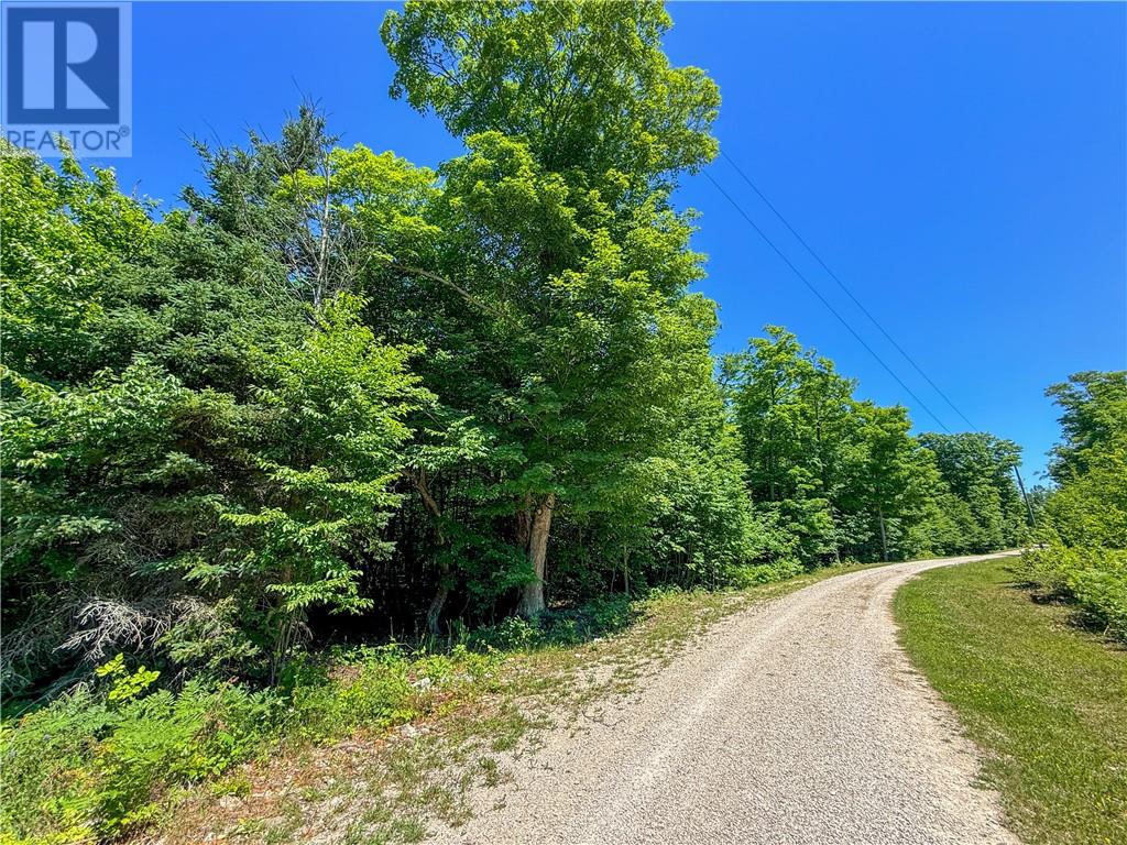N/a Mcarthur Trail, Gore Bay, Ontario  P0P 1J0 - Photo 14 - 2129065