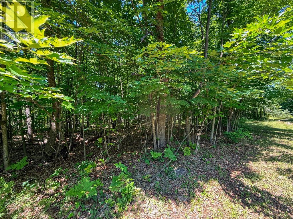 N/a Mcarthur Trail, Gore Bay, Ontario  P0P 1J0 - Photo 10 - 2129065