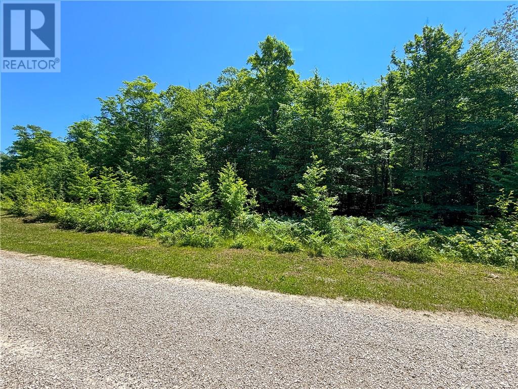 N/a Mcarthur Trail, Gore Bay, Ontario  P0P 1J0 - Photo 13 - 2129065