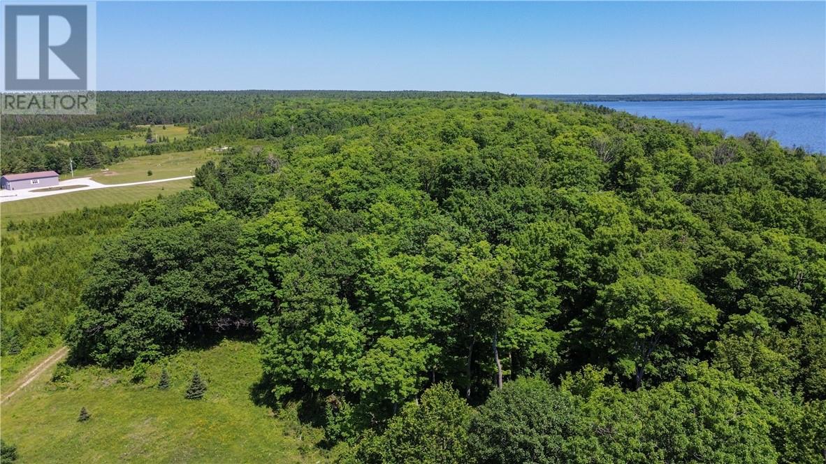 N/a Mcarthur Trail, Gore Bay, Ontario  P0P 1J0 - Photo 8 - 2129065