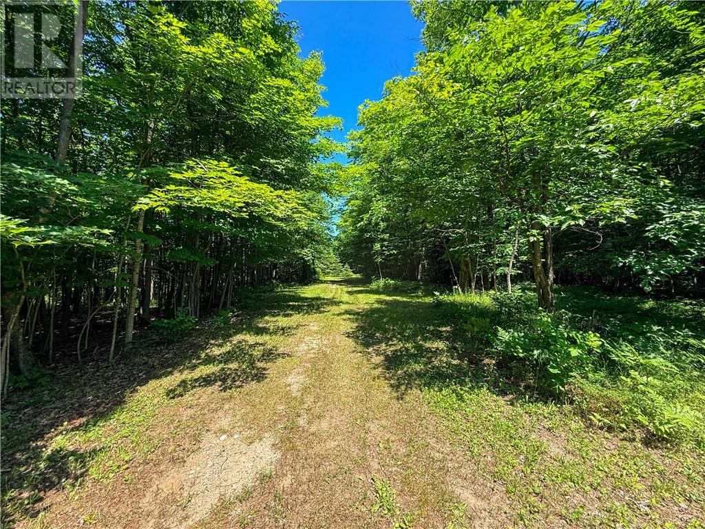 N/a Mcarthur Trail, Gore Bay, Ontario  P0P 1J0 - Photo 9 - 2129065