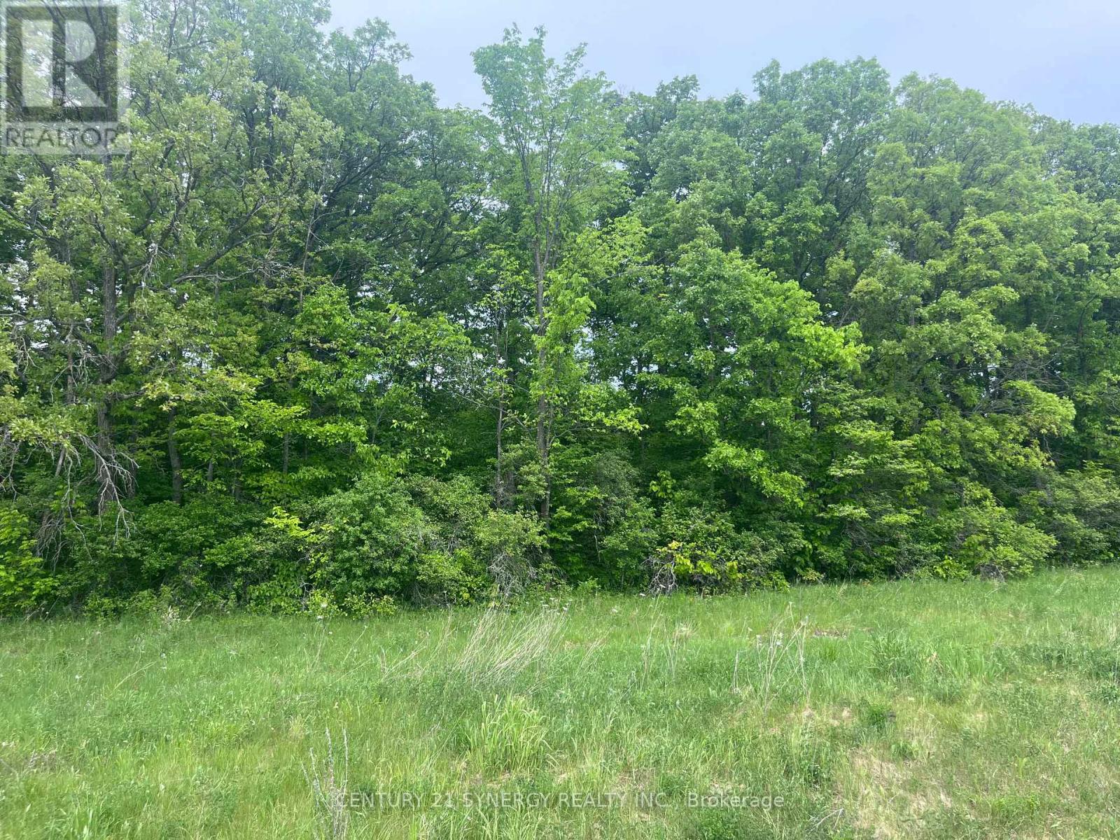 36 Paul A Bertrand Drive, Mcnab/braeside, Ontario K7S 3G8 - Photo 14 - X12764896