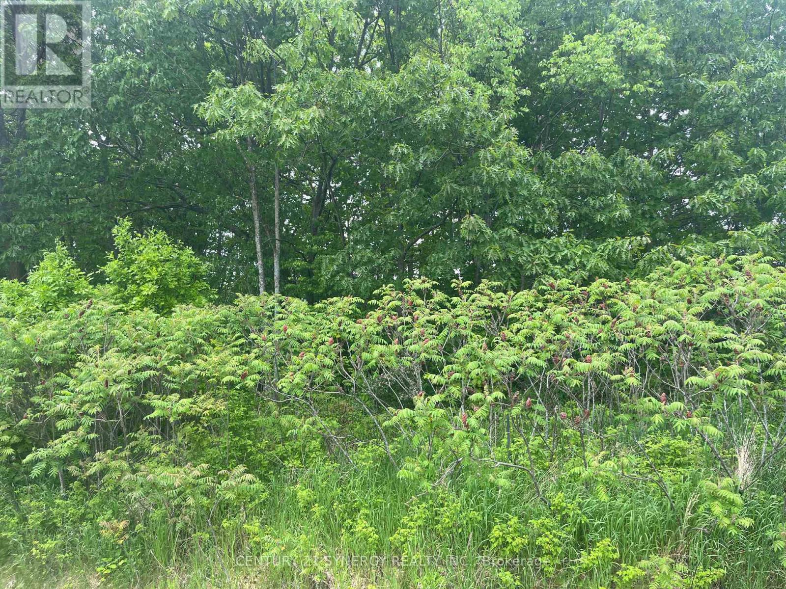 36 Paul A Bertrand Drive, Mcnab/braeside, Ontario K7S 3G8 - Photo 16 - X12764896
