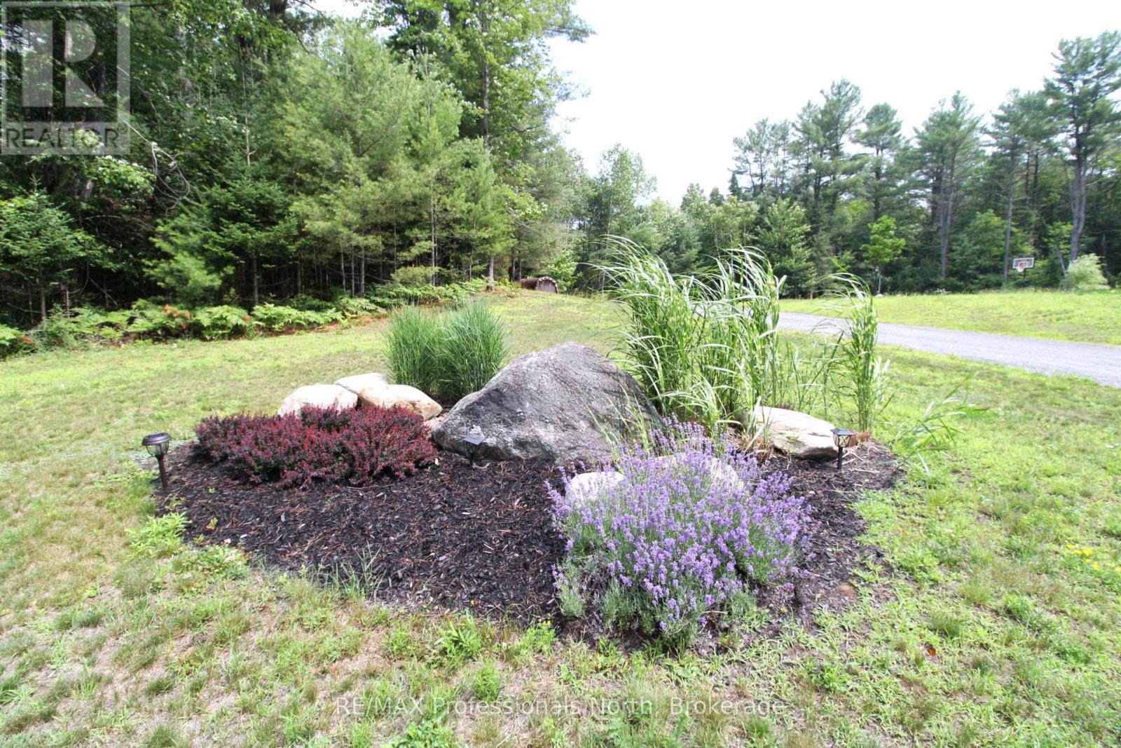 1196 Ravenscliffe Road, Huntsville, Ontario  P1H 2N5 - Photo 4 - X13601910