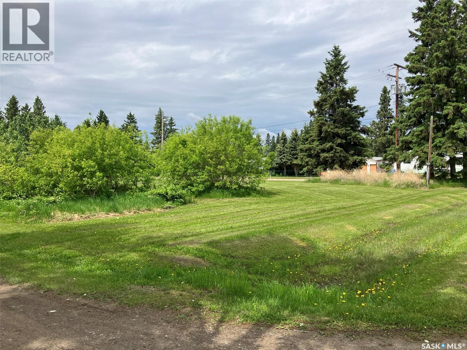 339 Railway Avenue E, Choiceland, Saskatchewan  S0J 0M0 - Photo 3 - SK046982