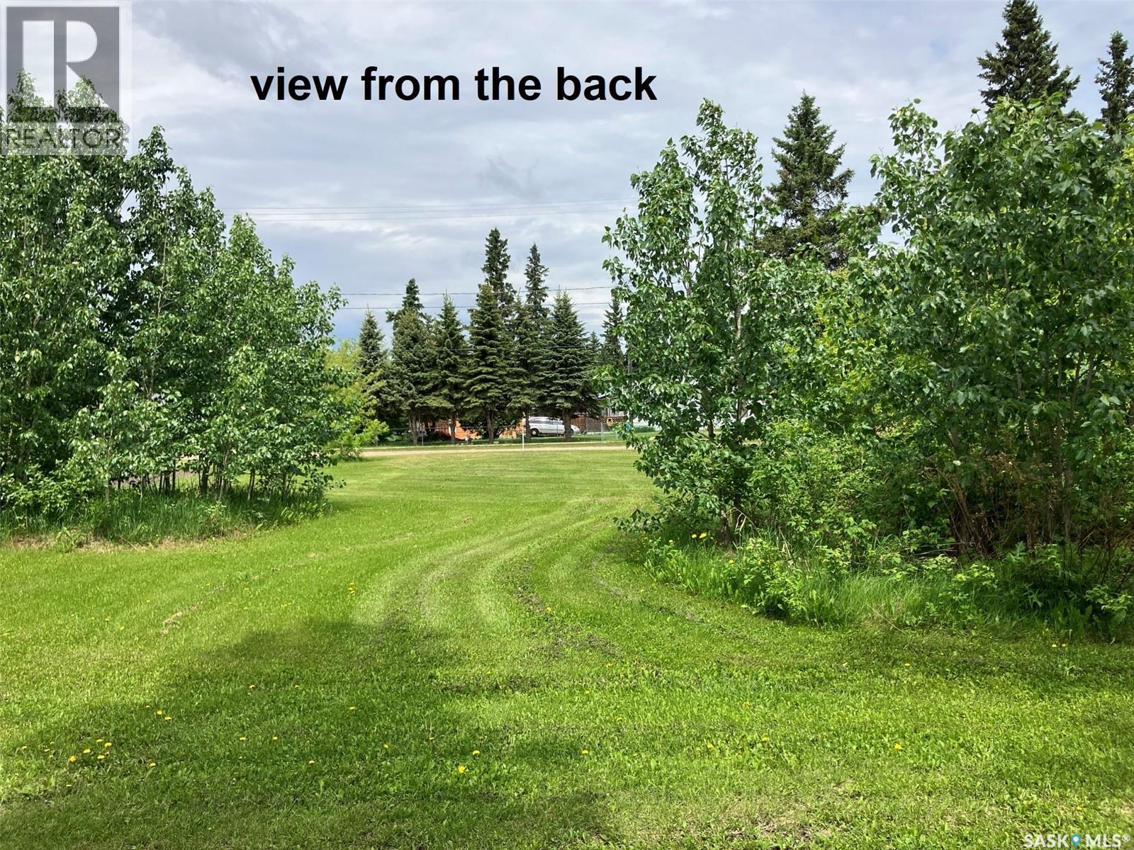 339 Railway Avenue E, Choiceland, Saskatchewan  S0J 0M0 - Photo 4 - SK046982