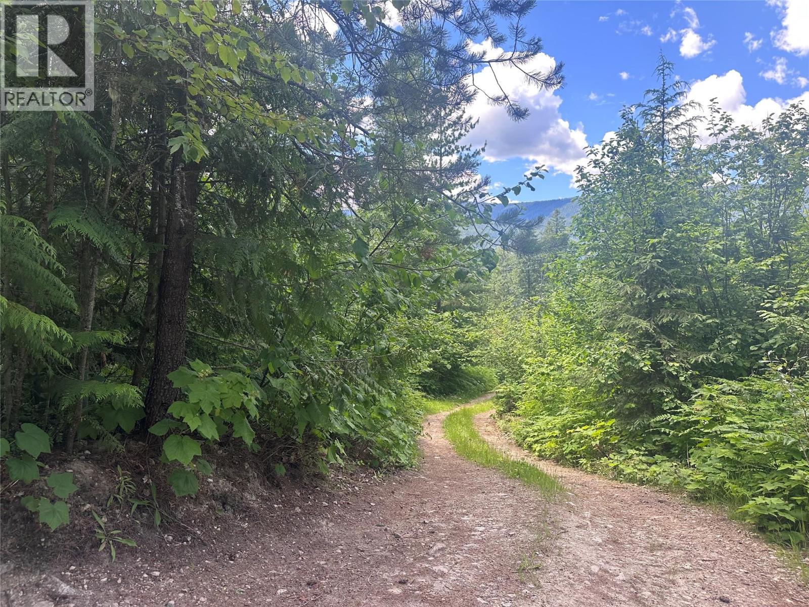 7152 Graham Road, Winlaw, British Columbia  V0G 2J0 - Photo 39 - 10392360