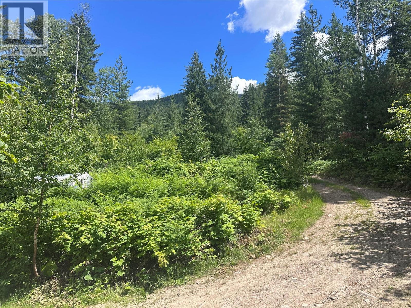 7152 Graham Road, Winlaw, British Columbia  V0G 2J0 - Photo 35 - 10392360