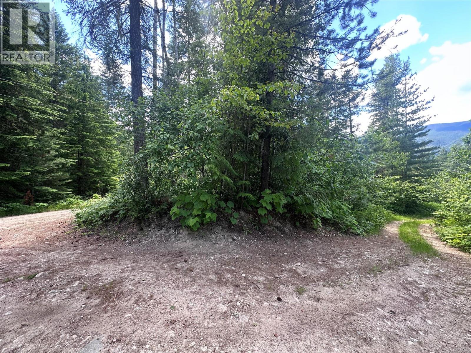 7152 Graham Road, Winlaw, British Columbia  V0G 2J0 - Photo 40 - 10392360