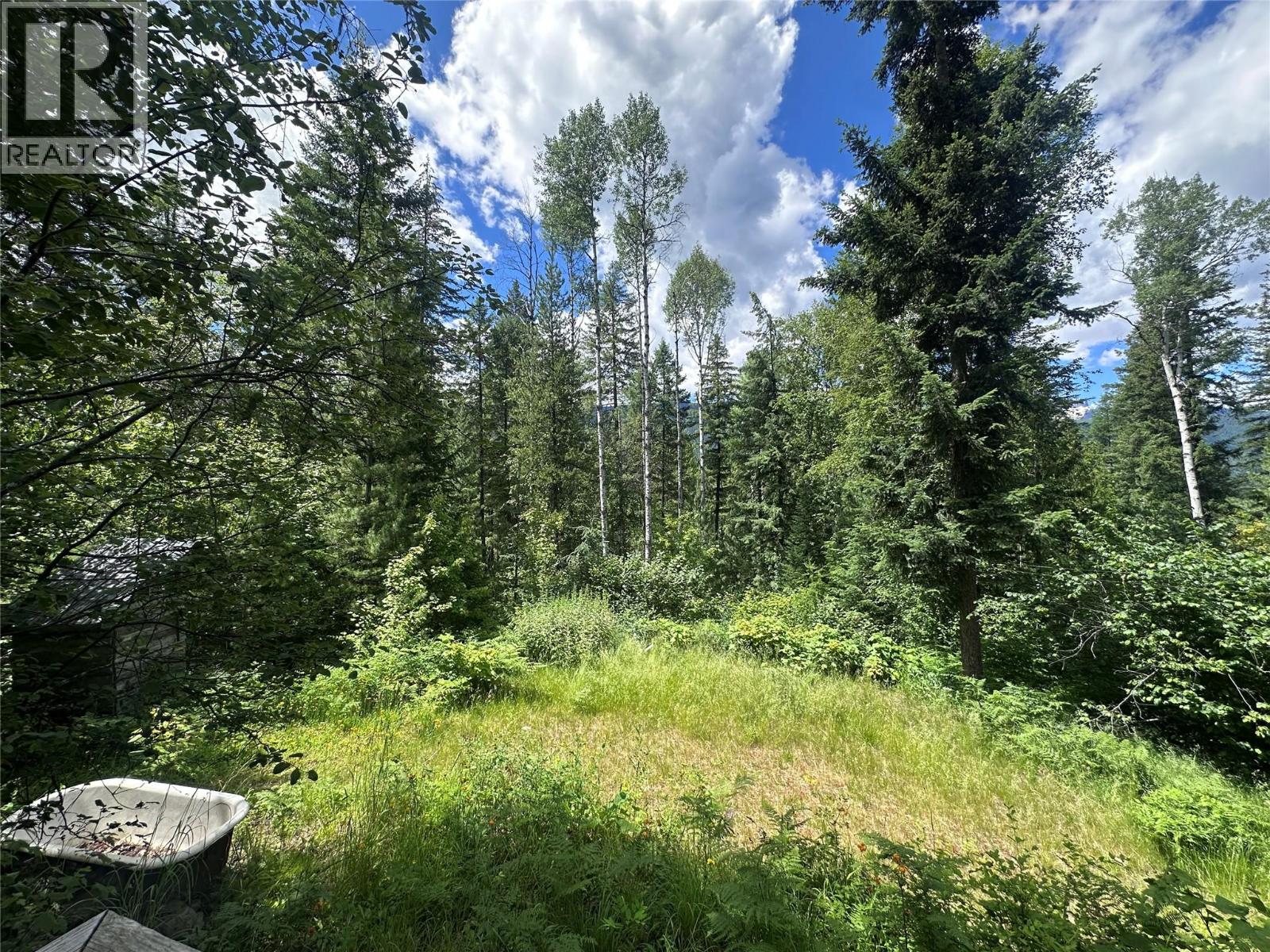 7152 Graham Road, Winlaw, British Columbia  V0G 2J0 - Photo 34 - 10392360