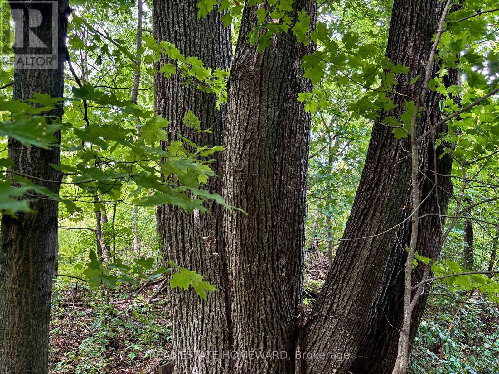 937082 Airport Road W, Mulmur, Ontario  L9V 0L6 - Photo 38 - X13607006