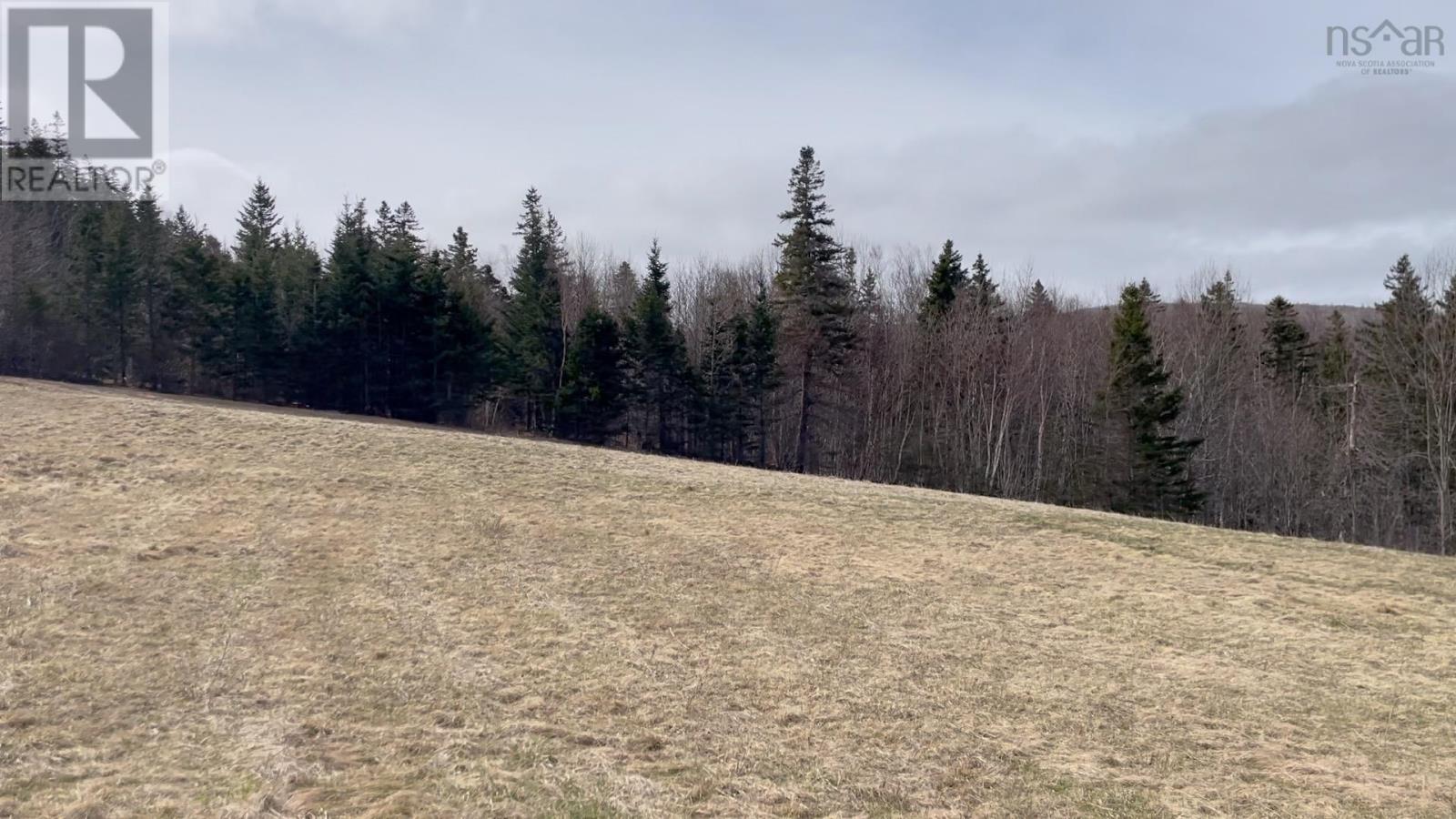 204 Highway, Irish Cove, Nova Scotia  B2E 1E5 - Photo 6 - 202521832