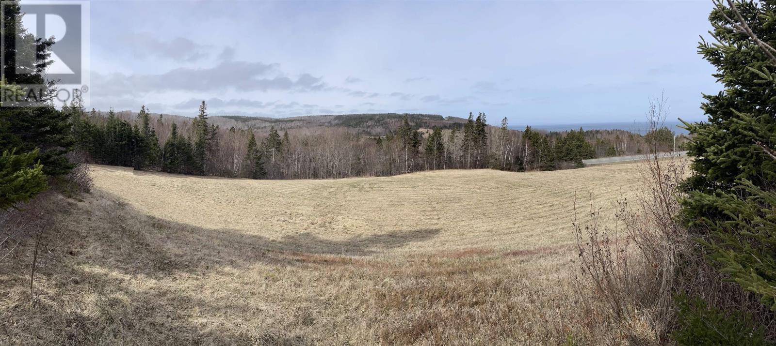 204 Highway, Irish Cove, Nova Scotia  B2E 1E5 - Photo 5 - 202521832