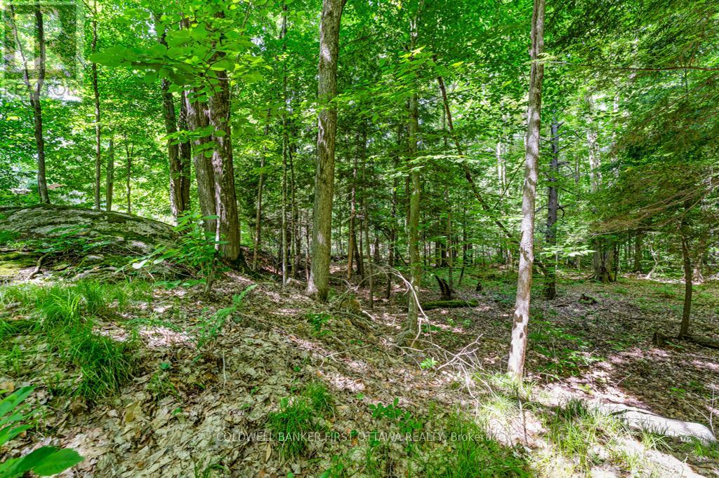 1102 Ebbs Bay Road, Drummond/north Elmsley, Ontario  K7C 0C5 - Photo 36 - X13066972