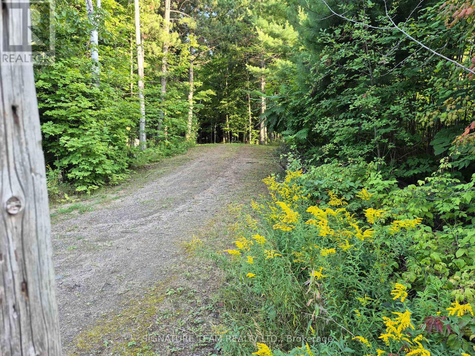 3155 Mountain View Road, Killaloe, Ontario  K0J 2A0 - Photo 11 - X13725796