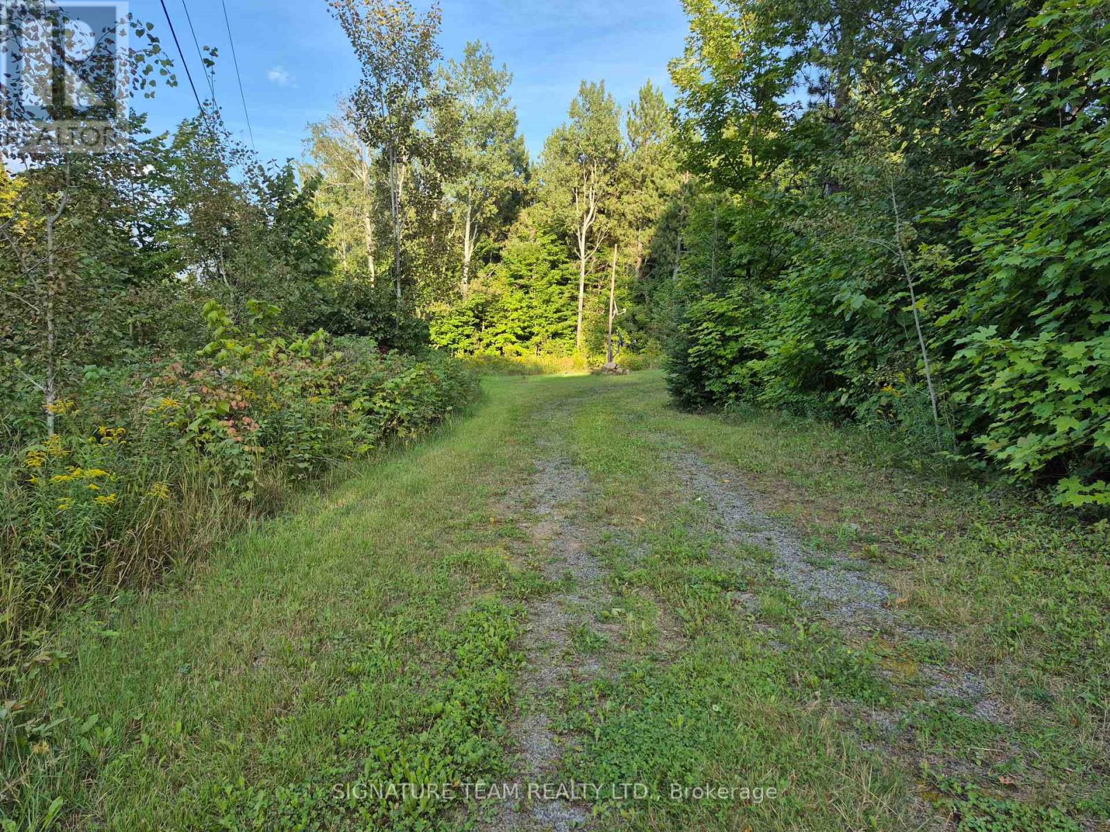 3155 Mountain View Road, Killaloe, Ontario  K0J 2A0 - Photo 12 - X13725796