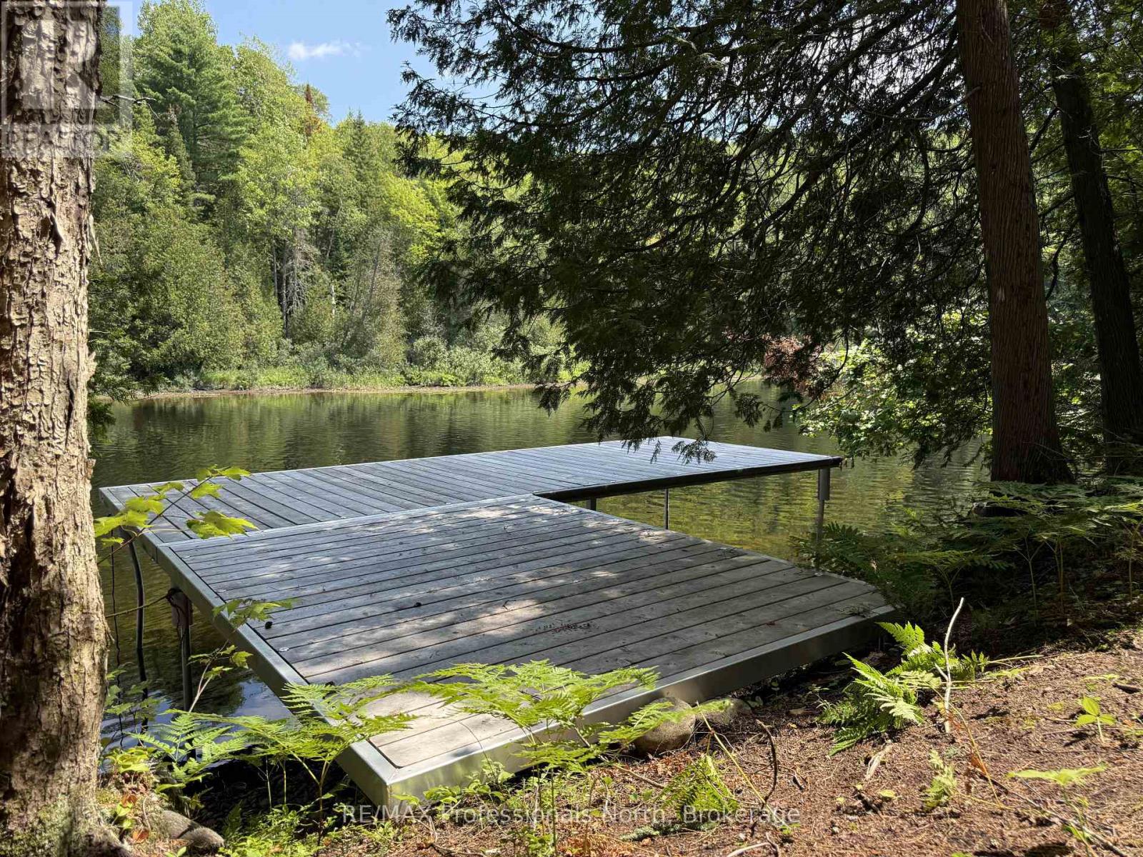 1125 Fairy Falls Road, Lake Of Bays, Ontario  P0B 1A0 - Photo 7 - X13641698