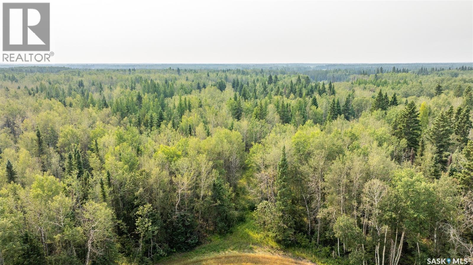 Torch River Land, Torch River Rm No. 488, Saskatchewan  S0J 2J0 - Photo 4 - SK046927