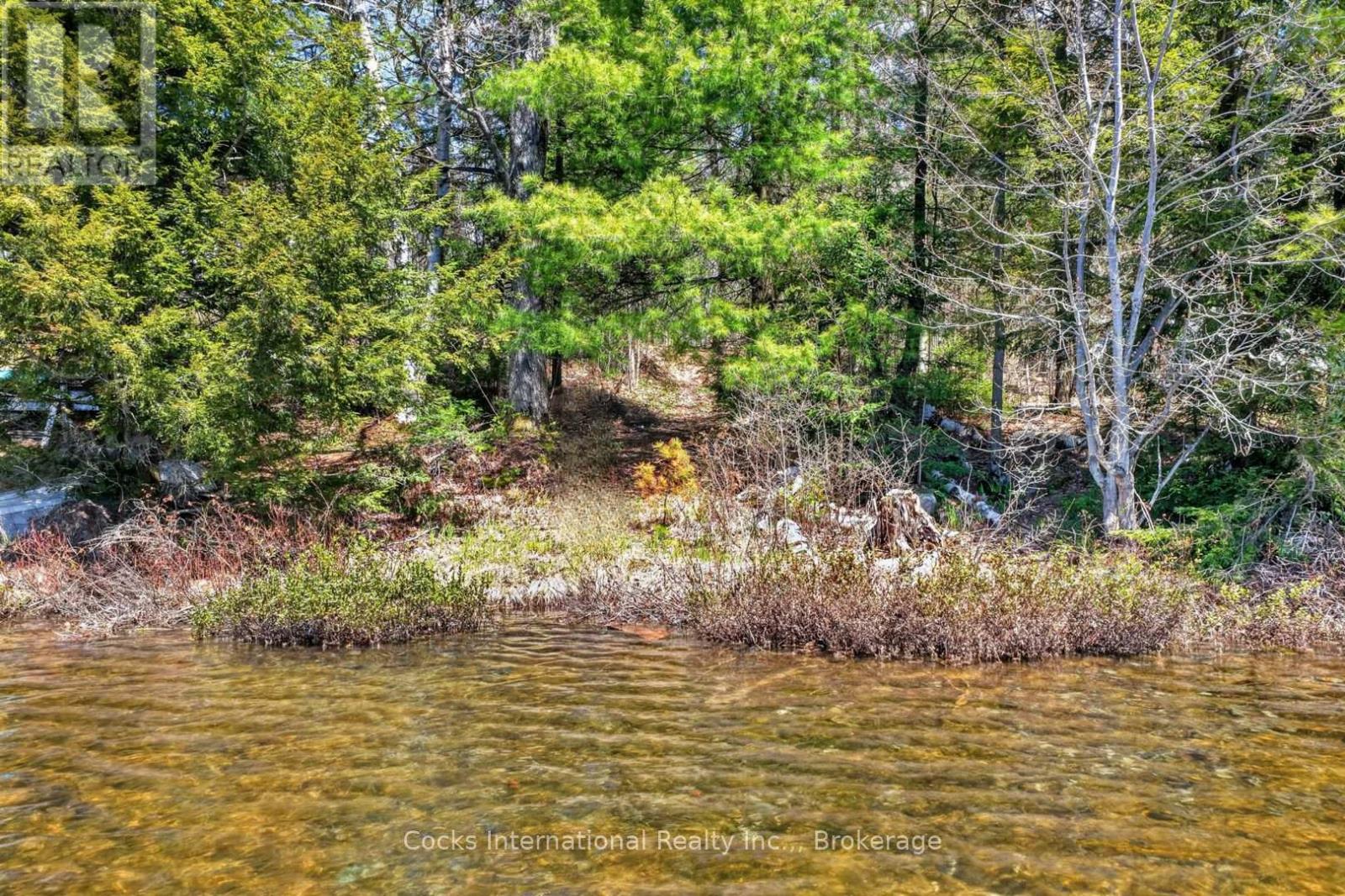 1165 Spring Lake Road, Bracebridge, Ontario  P1L 1X1 - Photo 3 - X13123512