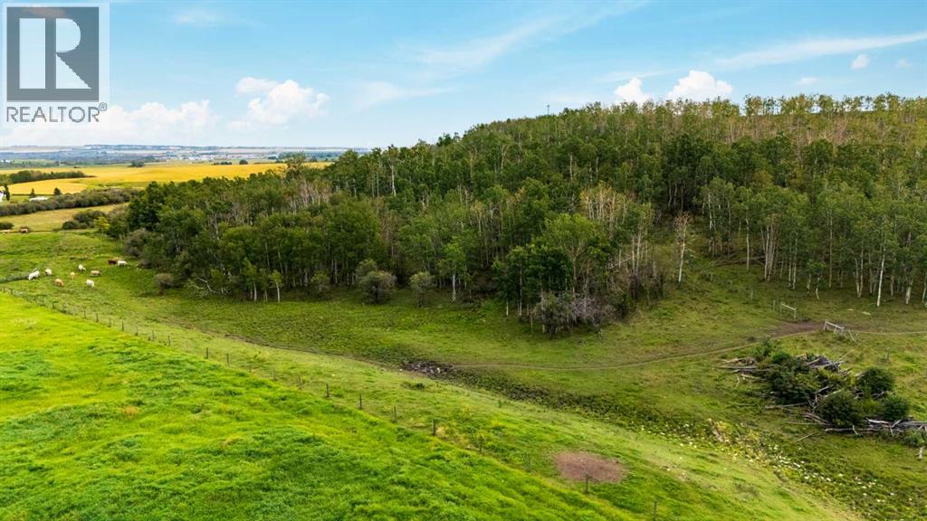 402 Avenue, Rural Foothills County, Alberta T1V 2E0 - Photo 11 - A2302350