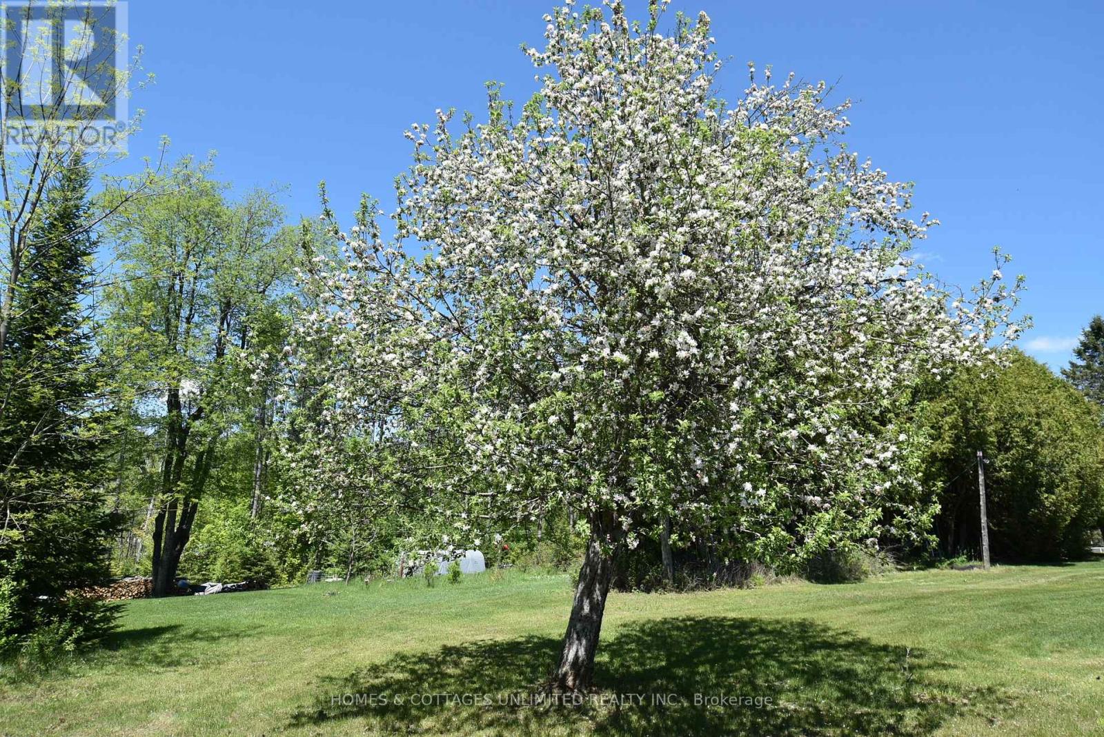 6628 Buckshot Lake Road, Frontenac, Ontario  K0H 2M0 - Photo 10 - X13215940