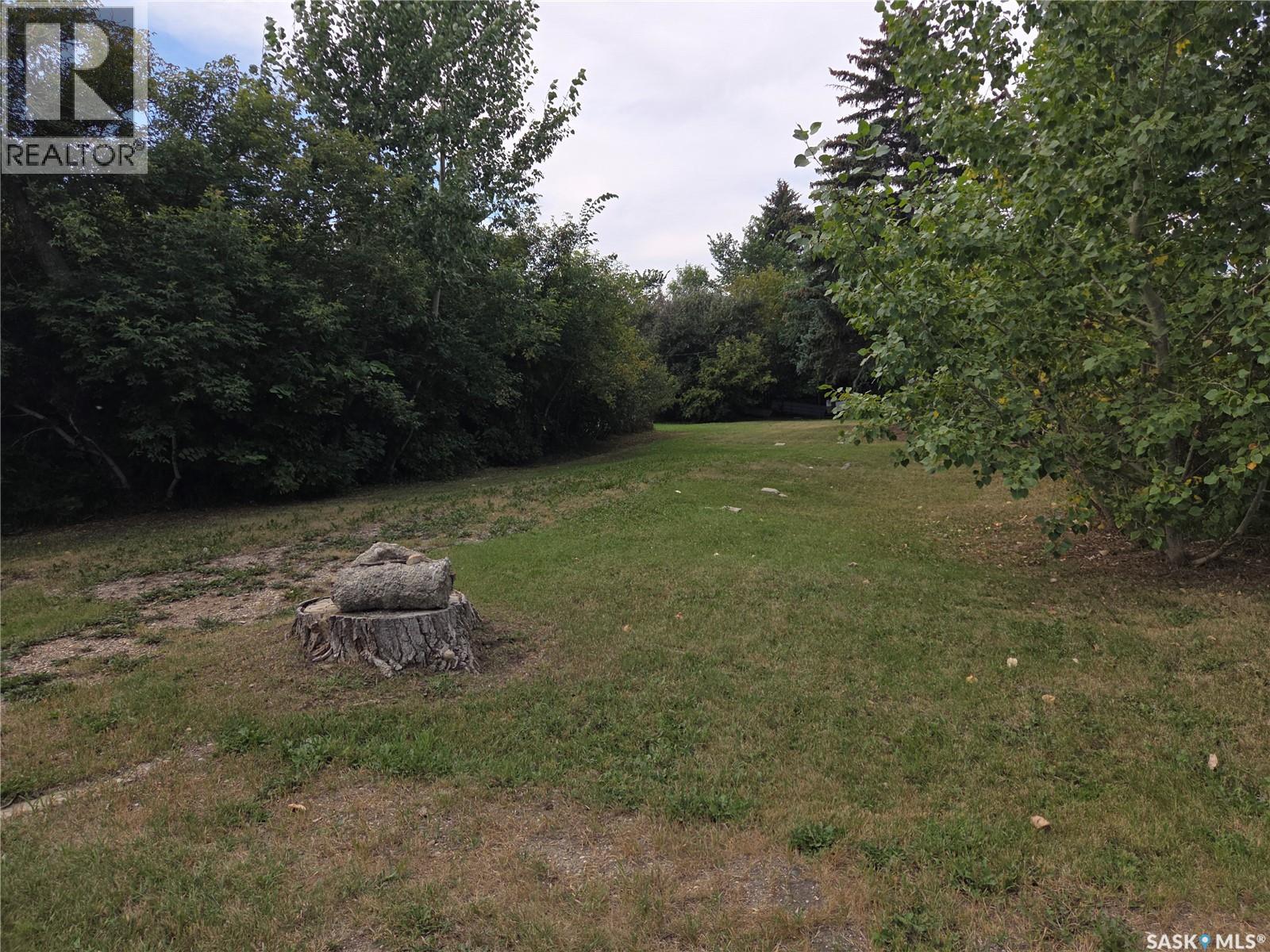 218 Lewis Street, Pense, Saskatchewan  S0G 3W0 - Photo 3 - SK047018