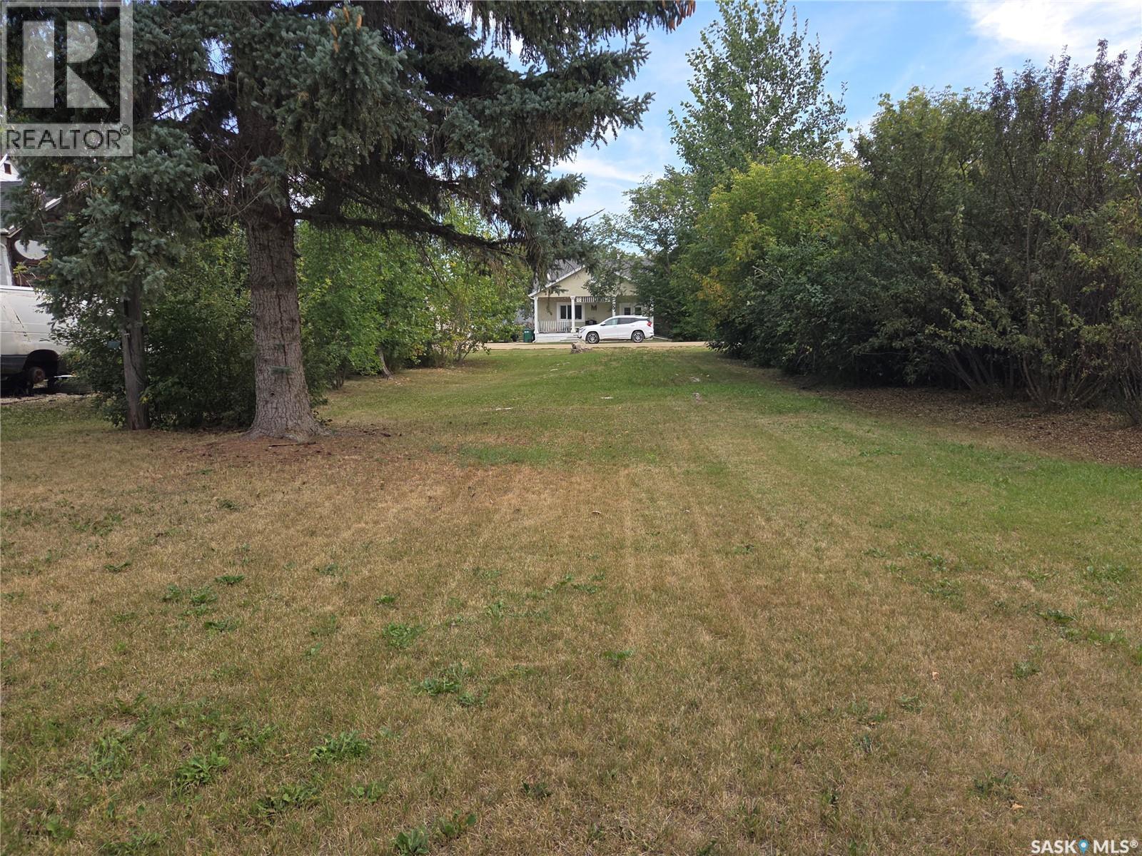 218 Lewis Street, Pense, Saskatchewan  S0G 3W0 - Photo 4 - SK047018