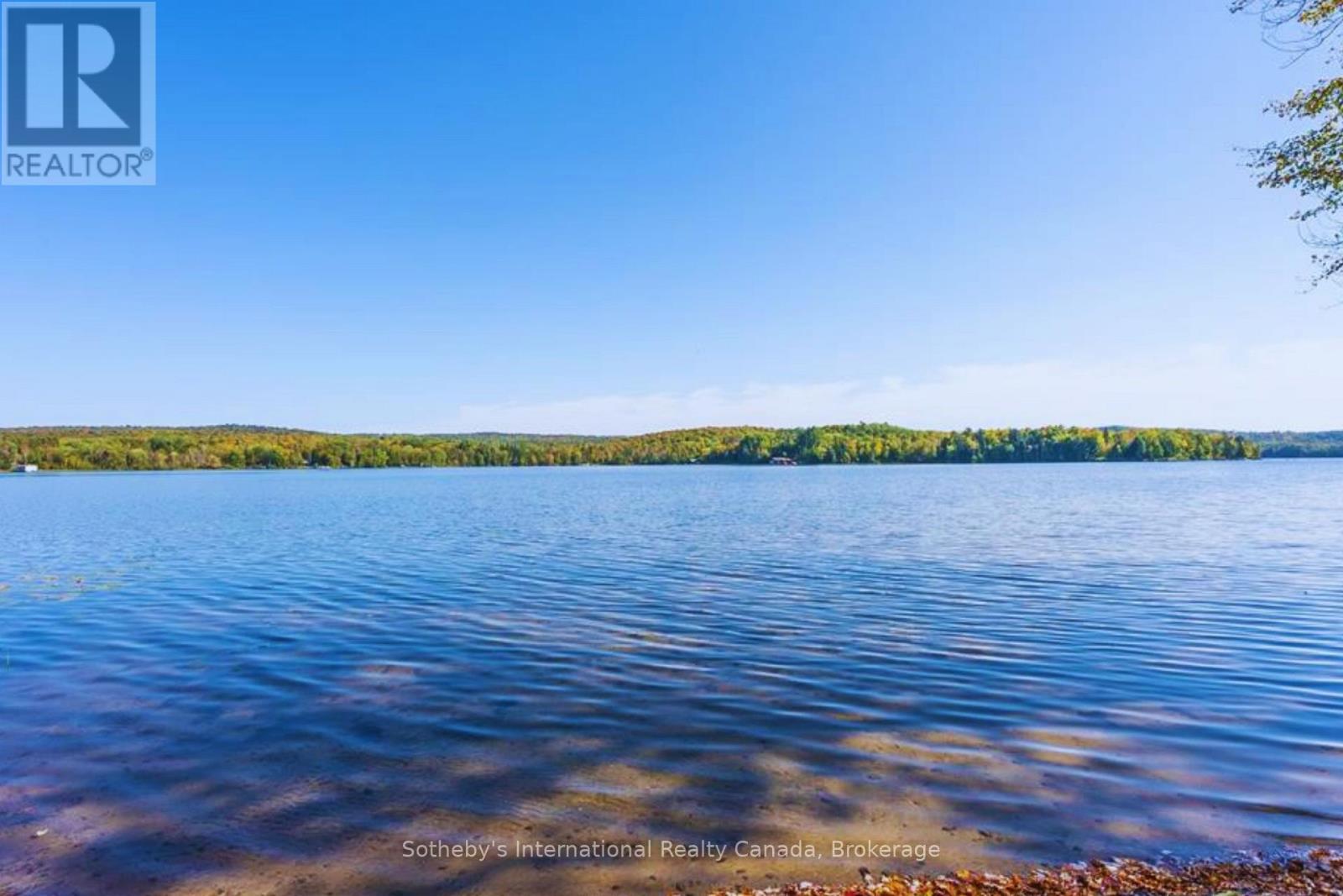 1111 Maplehurst Drive, Lake Of Bays, Ontario  P1H 2J6 - Photo 9 - X13610312
