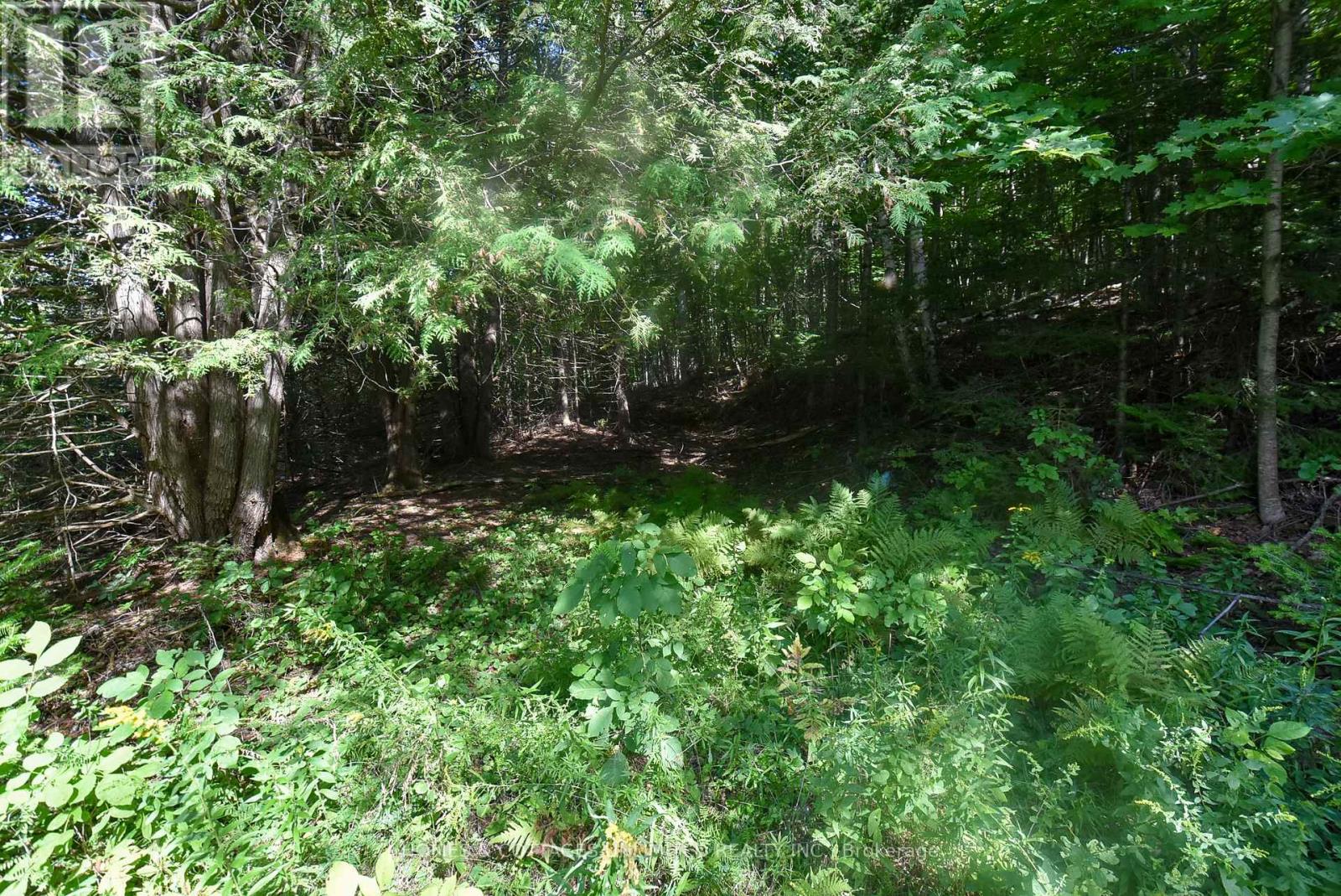 2493 River Road, Frontenac, Ontario K0H 2J0 - Photo 10 - X13726204