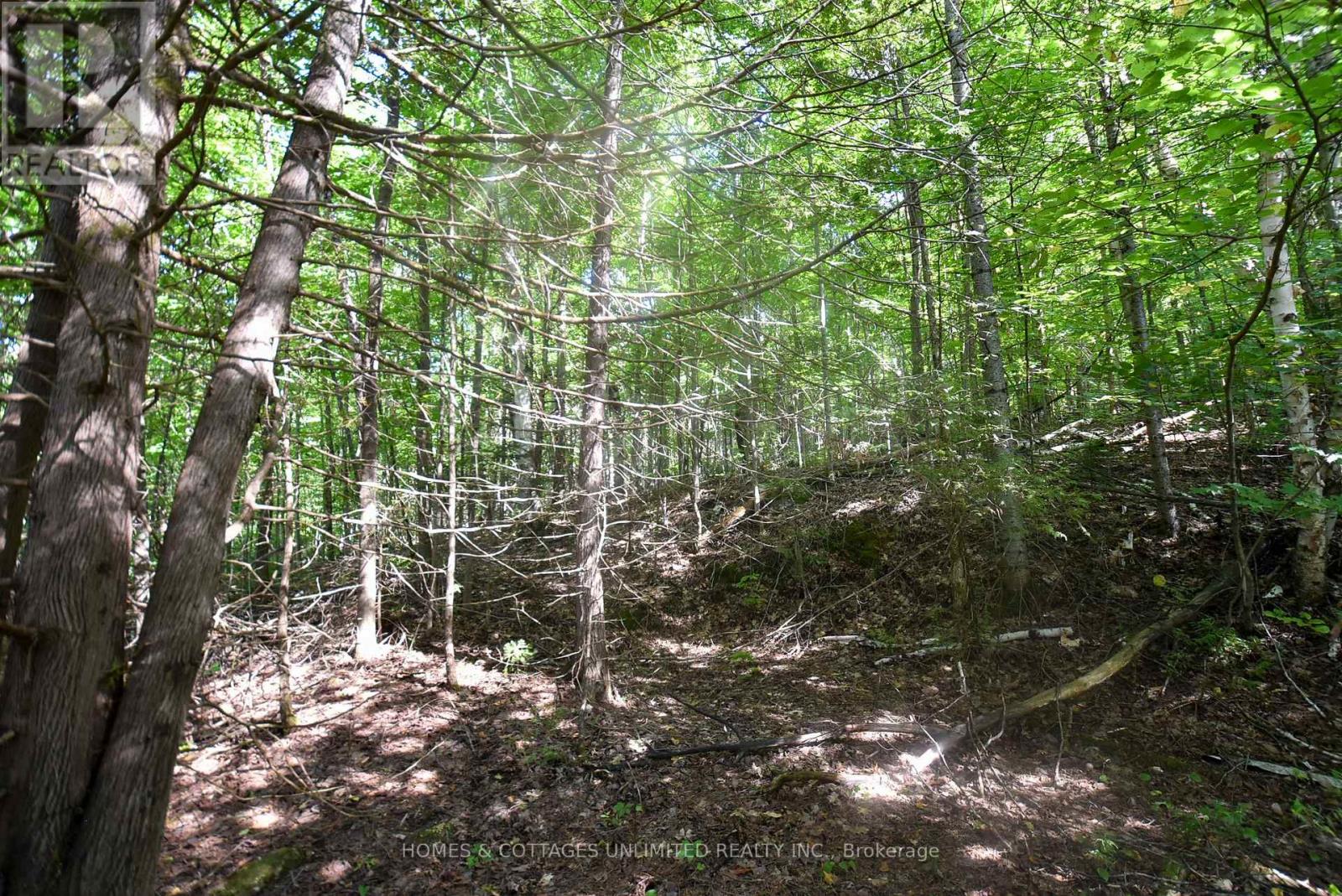 2493 River Road, Frontenac, Ontario K0H 2J0 - Photo 11 - X13726204