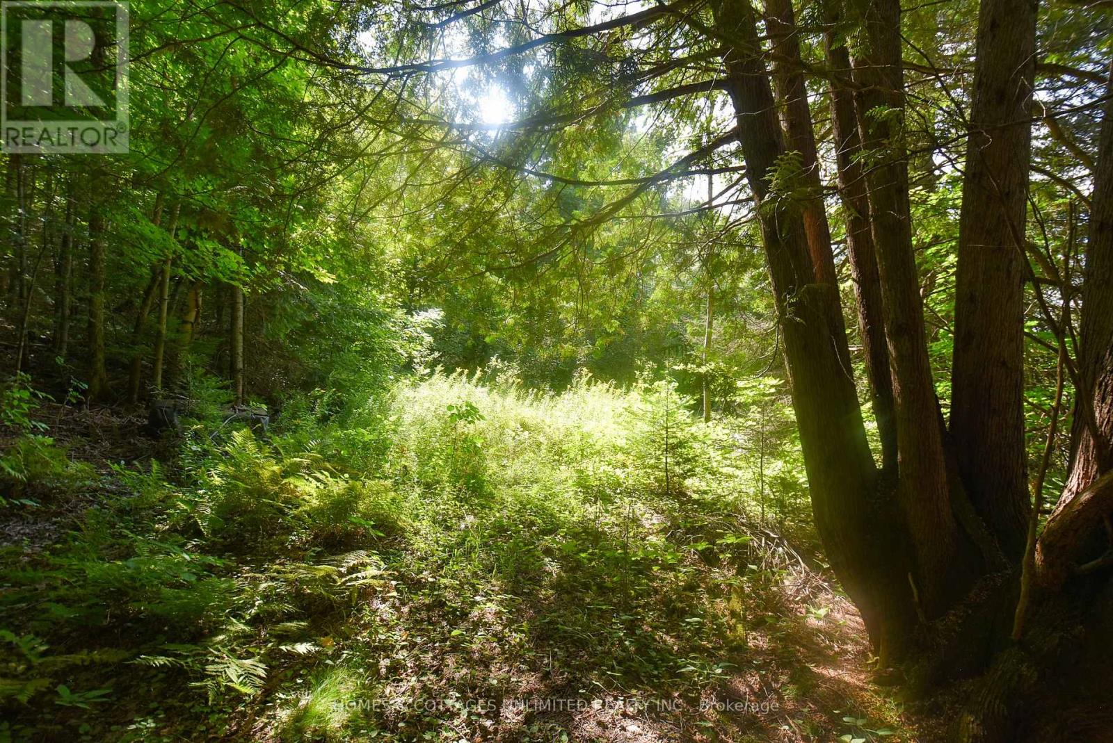 2493 River Road, Frontenac, Ontario K0H 2J0 - Photo 12 - X13726204