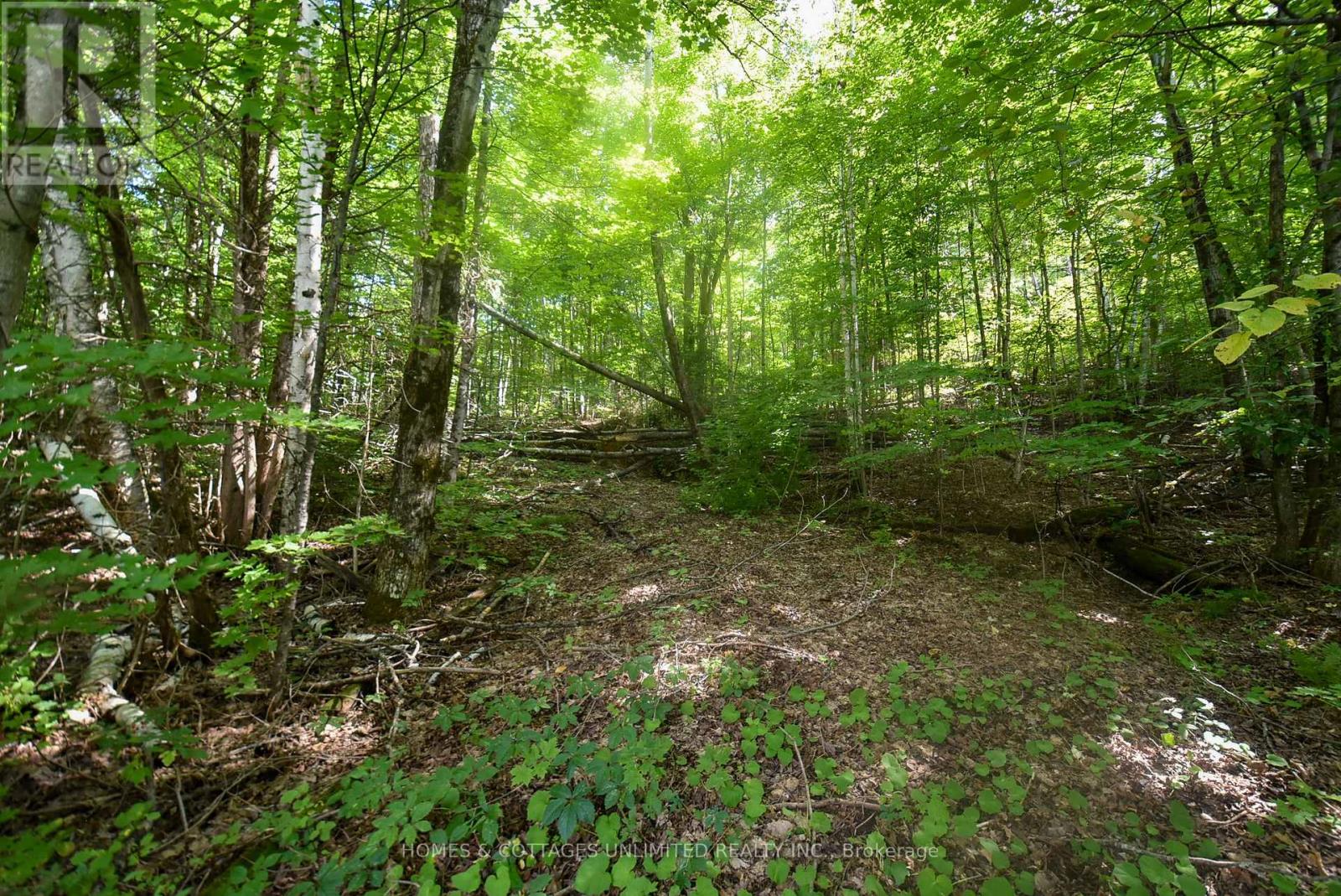 2493 River Road, Frontenac, Ontario K0H 2J0 - Photo 13 - X13726204
