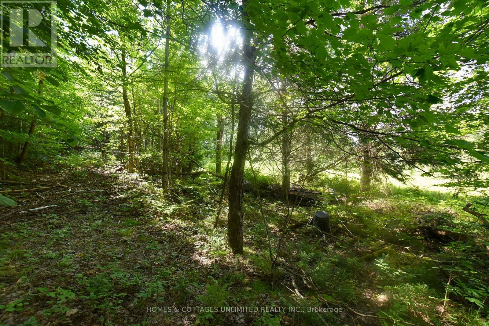2493 River Road, Frontenac, Ontario K0H 2J0 - Photo 14 - X13726204